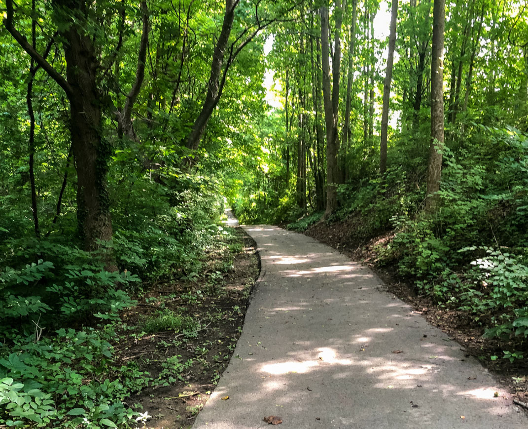 Leiper Smedley trail in Wallingford Pennsylvania.