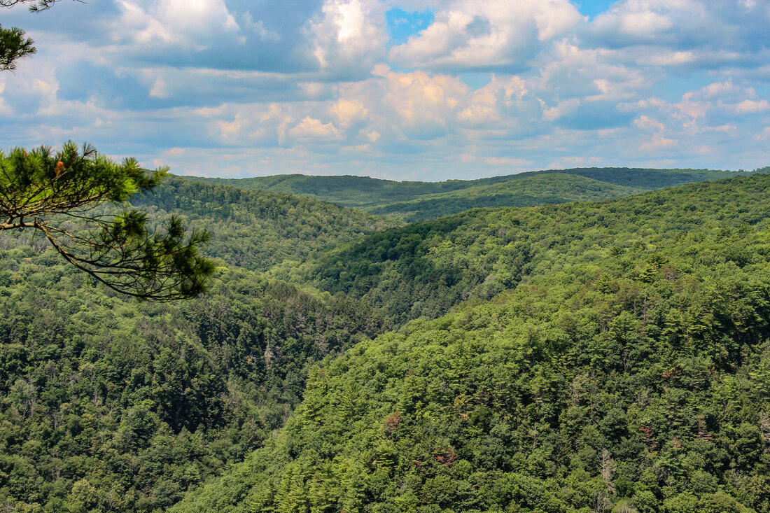 Pennsylvania Grand Canyon in Wellsboro PA.